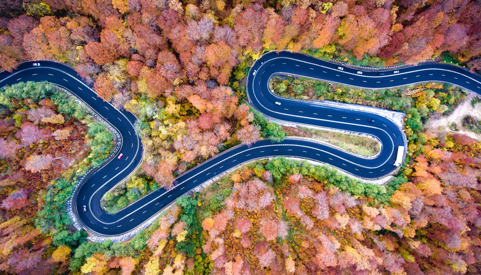 e-zoomed Italia